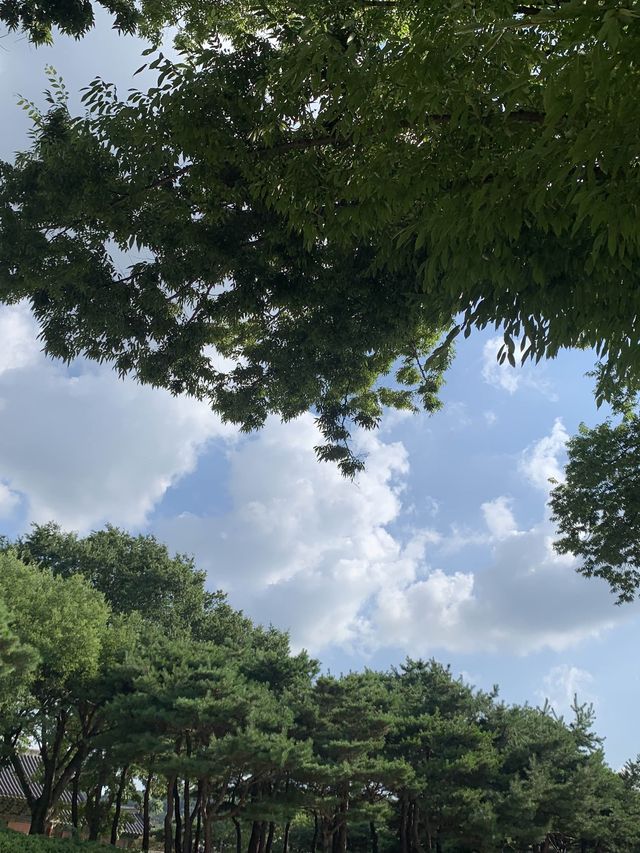 전주 필수 여행코스 추천🤎