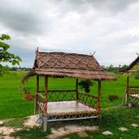 กลางนาคาเฟ่

 นครนายก