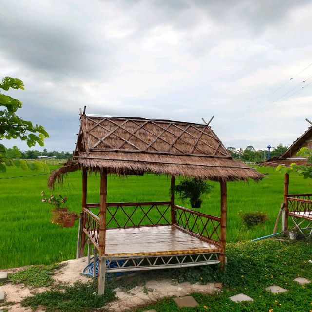 กลางนาคาเฟ่

 นครนายก