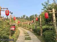 ชมไร่ชา ซึมซับวิถีชีวิตชาวจีนยูนนานท่ามกลางสายหมอก