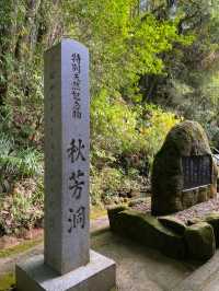 山口県🍁特別天然記念物！日本屈指の大鍾乳洞【秋吉洞】