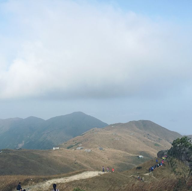 帶你上大東山睇芒草 帶你上大東山睇芒草