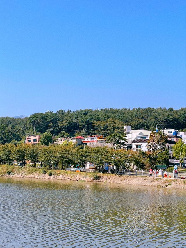 부산 봄맞이 여행명소 “금정 회동호 둘레길” 🌸