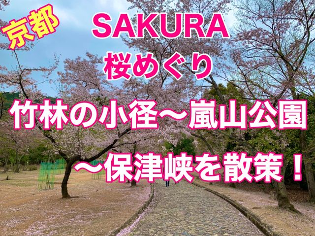 京都　KYOTO SAKURAめぐり❗️竹林の小径〜嵐山公園(亀山地区)〜保津峡のあたりを散策してみた！