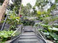 Forest garden trail within Jewel Changi