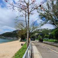 無敵海景 ～ 深水灣 