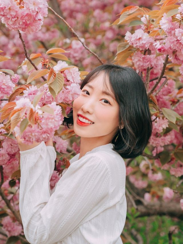 겹벚꽃 명소 보라매공원💜