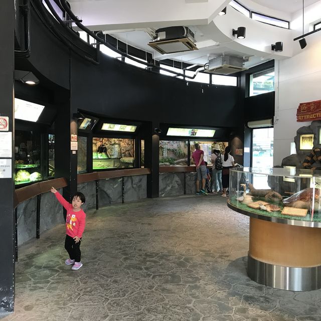 免費增進爬蟲類動物小知識