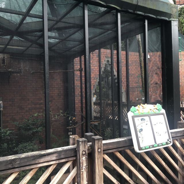  市區觀鳥好地方