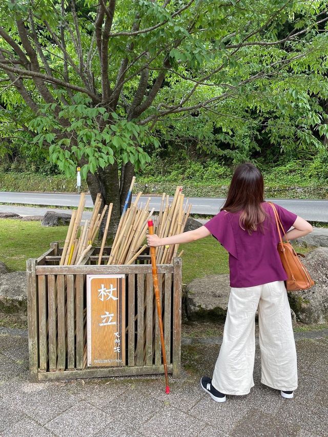 歩ける世界遺産《熊野古道＊大門坂》