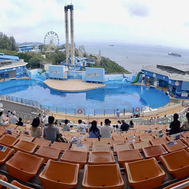 Ocean Park, The only park in Hong Kong to meet Pinguin and Panda