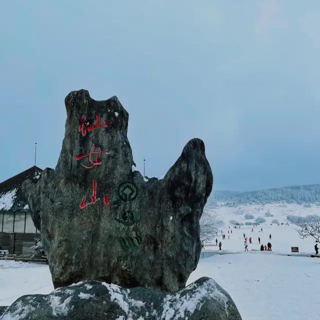 重慶仙女山⛄️❄️雪景飄飄