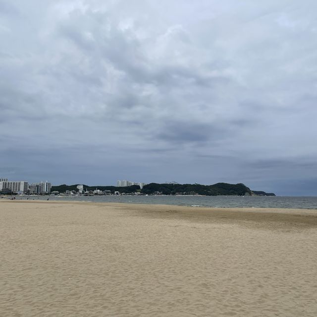 포항에서 즐기는 바캉스 “영일대해수욕장”🏖