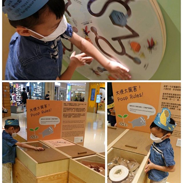 同仔仔一樣冇手尾動物免費展覽