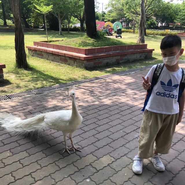 與動物近距離接觸的動物園