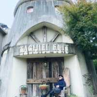 富士急樂園 日本頂級游樂場