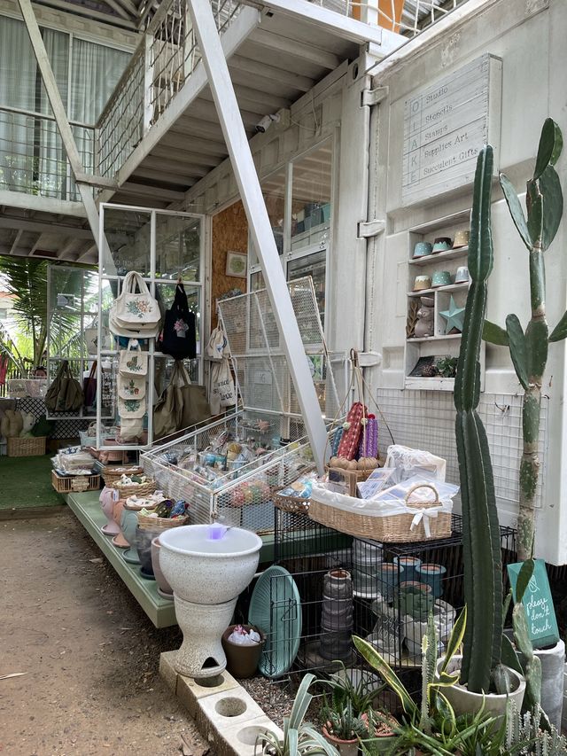 ฉำฉา market
