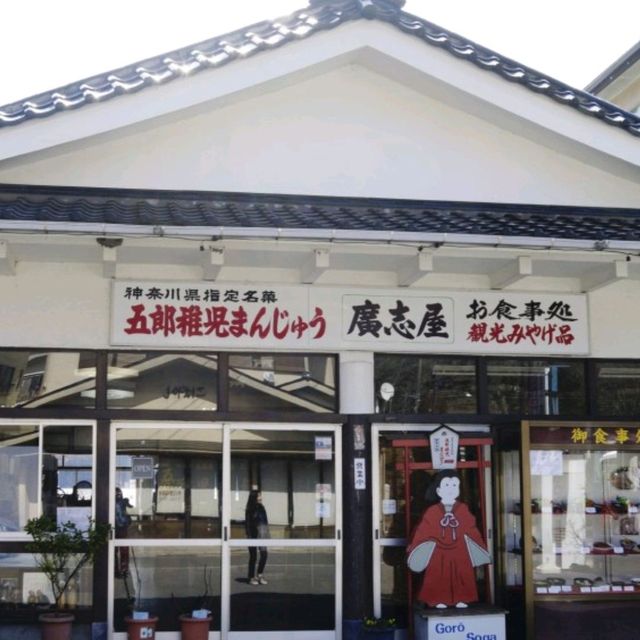 일본여행 하코네 맛집 廣志屋