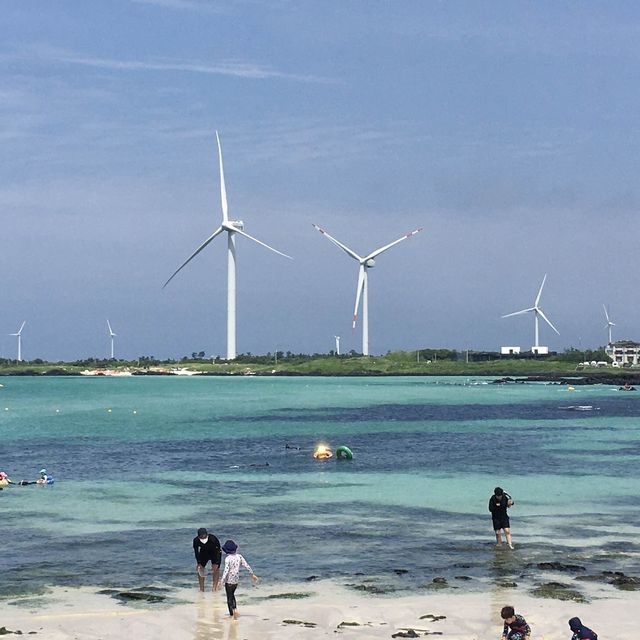 에메랄드빛 바다가 기다리는 김녕바다로💚💙✨