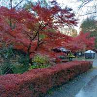 岩手県！紅葉と中尊寺の松尾芭蕉像