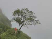 ผาหัวสิงห์ ภูทับเบิก