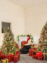 인천 대형 카페 크리스마스 트리명소, 지금이곳🎄