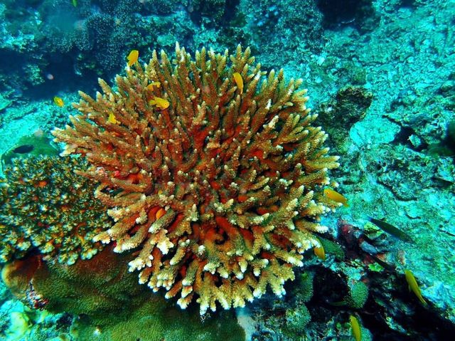 อุทยานแห่งชาติหมู่เกาะลันตา 
