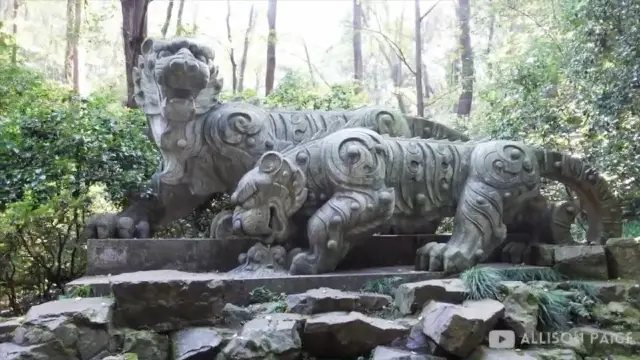 A Calm and Peaceful Hike In Hangzhou 