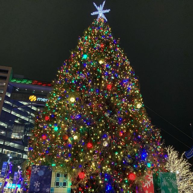 Campus Martius Park - Detroit 