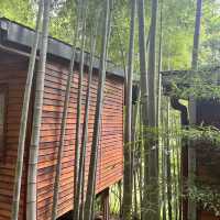 Moganshan - Cabin in the woods 