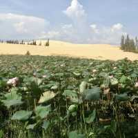 Lotus Lake - Mui Ne, Vietnam