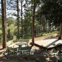 Thien Vuong Pagoda - Dalat, Vietnam