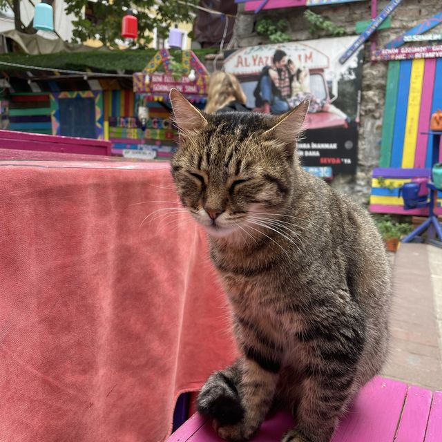 土耳其遊記 Istanbul 超熱門打卡點彩虹階梯