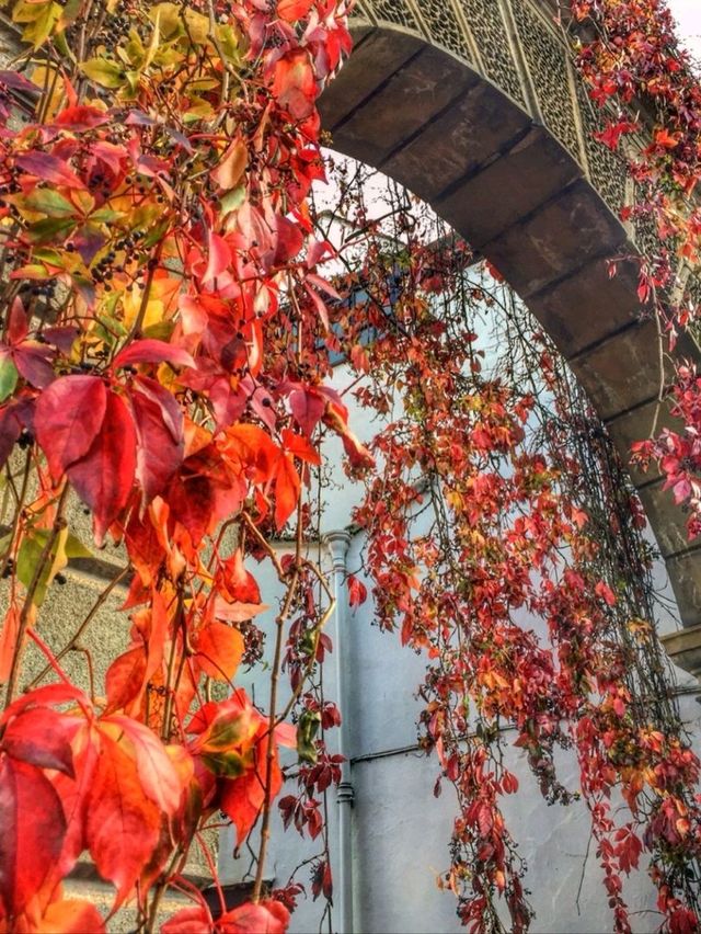 Fall 🍁in London