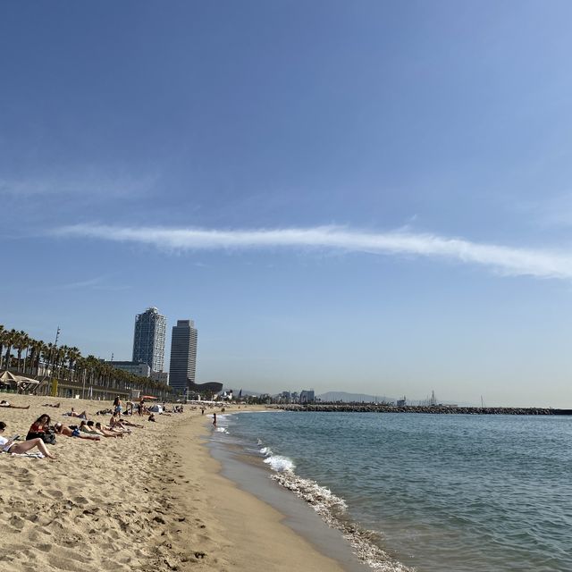 바르셀로네타 해변의 청량한 오션뷰🏖