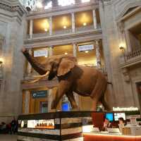 Free museums in Washington DC 