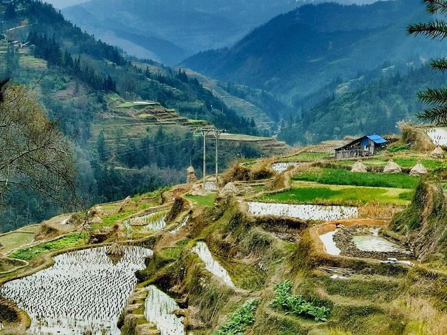 Guizhou - Discover hidden paths🤩