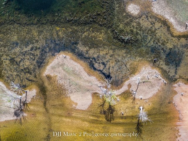 Oasis in Tengger Desert@Inner Mongolia