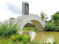 Into The Wetlands!