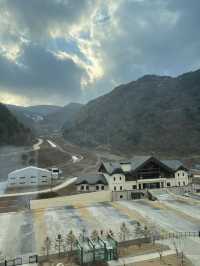 정선영월권 최고! 파크로쉬 리조트
