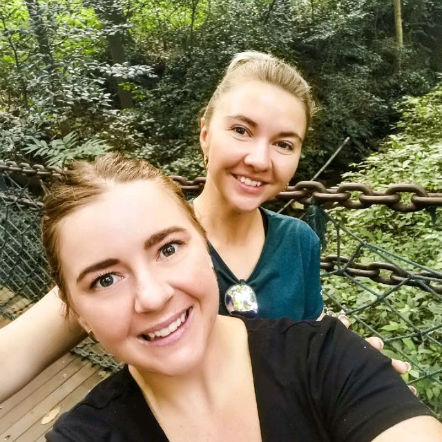 Hiking amongst the bamboo! 🌲🌿🏞️