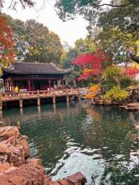 The REAL Yu Garden!