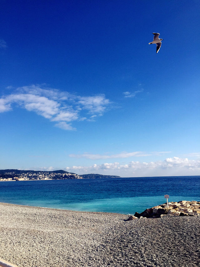 🌊Living Elsewhere | Nice's sea is the star of the Azure Coast.