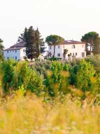 Global Homestay #221: Bordeaux Homestay, a century-old winery estate in France.