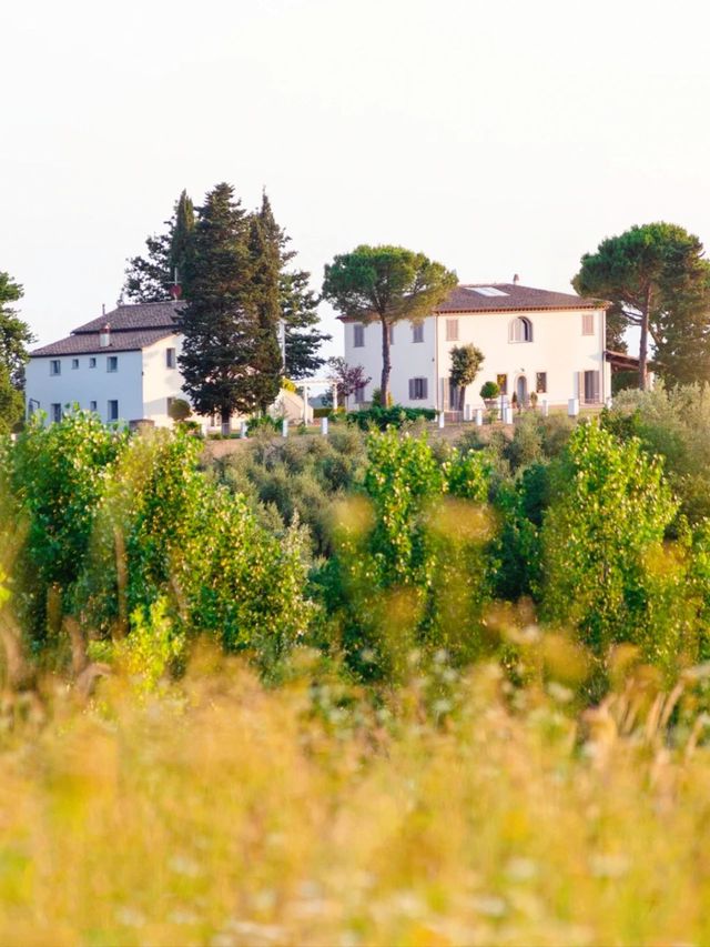 Global Homestay #221: Bordeaux Homestay, a century-old winery estate in France.