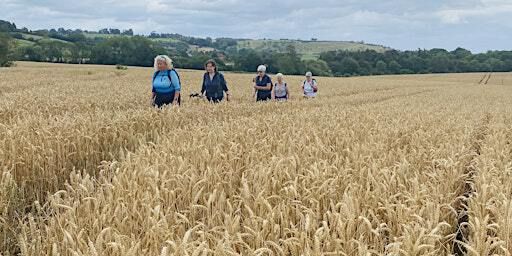 Worcestershire Way (Abberley to Knightwick) | 10 miles (Women only) | Knightwick