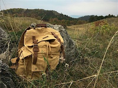 Soul Writing in the Woods | Lone Oak Trailhead, Tilden Park,