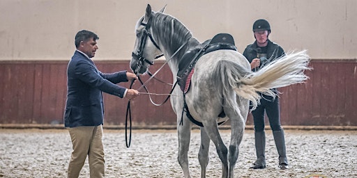 Portuguese School of Equestrian Art Master Class | Aintree International Equestrian Centre