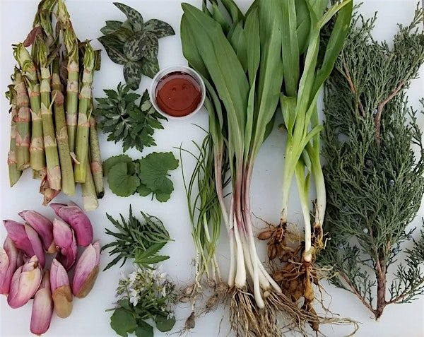 Foraging Talk, Walk, & Dinner at the Riverside Public Library & Chew Chew | Riverside Public Library