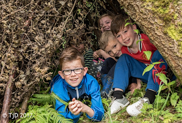 Woodland Survival at Brockholes Nature Reserve - Friday 1st August 2025 | Brockholes Nature Reserve